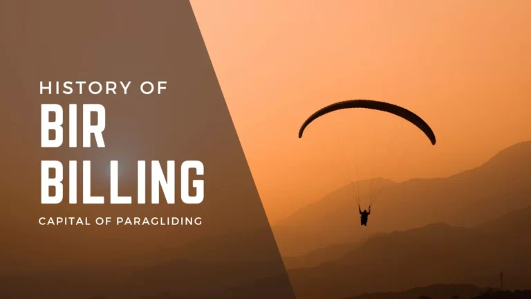 Bir-Billing-History